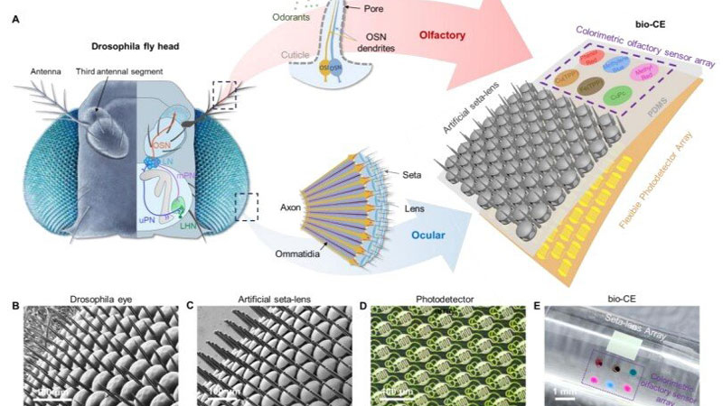 A kínaiak fejlesztettek egy „szemmű” drónokhoz, amely panorámás látást és szagérzékelőt biztosít.