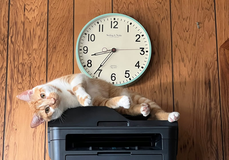 A Windows 11 leállítja a régi V3 és V4 nyomtatóillesztők támogatását a következő frissítés után