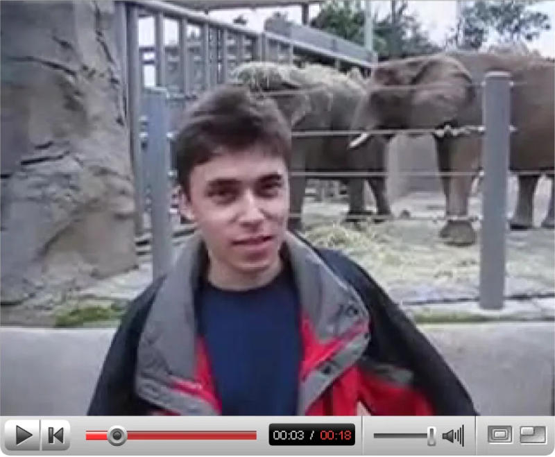 Az első YouTube‑videók bekerültek a múzeum gyűjteményébe.