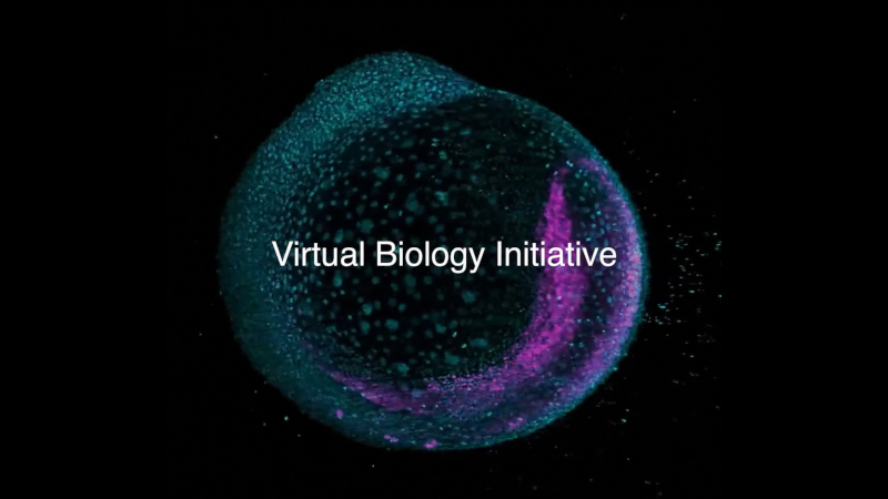 A Mark Zuckerberg Biohubja felgyorsította minden betegséget gyógyító terápiát, mesterséges intelligencia alapú sejtmódelljeket használva