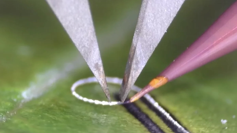 Mérnökök kifejlesztettek egy eszközt, amely lehetővé teszi az elektronikus alkatrészek élő szövetekre és orvosi implantátumokra való felhelyezését sérülés nélkül.