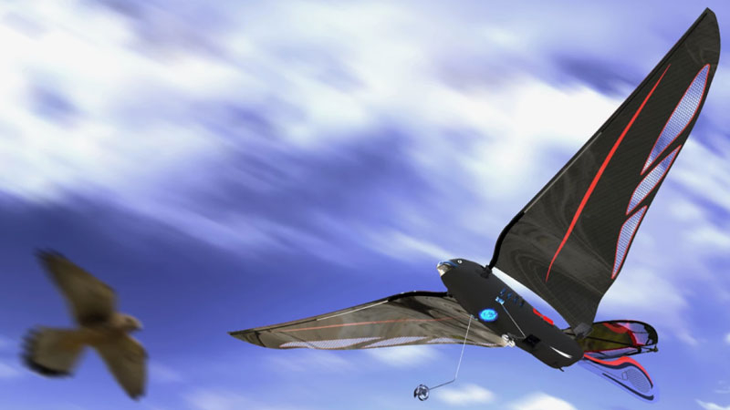 A mérnök egy 10 grammos robotmadarat készített, amely akár 31 km/h-ig fordulhat és okostelefonon keresztül irányítható.