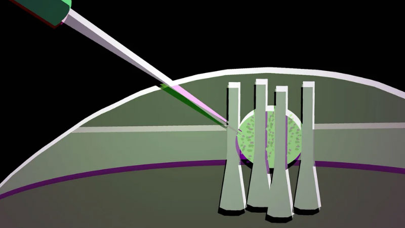 A tudósok egy csepp folyékony kristályból rugalmas optikai tranzisztort készítettek a jövő fotonikus chipeihez